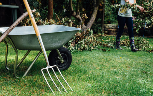 Dbałość o czystość